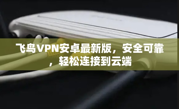 飞鸟VPN安卓最新版，安全可靠，轻松连接到云端