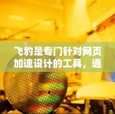 飞豹是专门针对网页加速设计的工具，通过优化网页加载速度、缓存管理、多任务处理等多种功能，帮助用户提升网页浏览效率。以下是详细的学习步骤和使用指南
