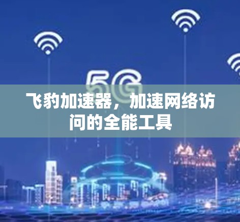 飞豹加速器，加速网络访问的全能工具