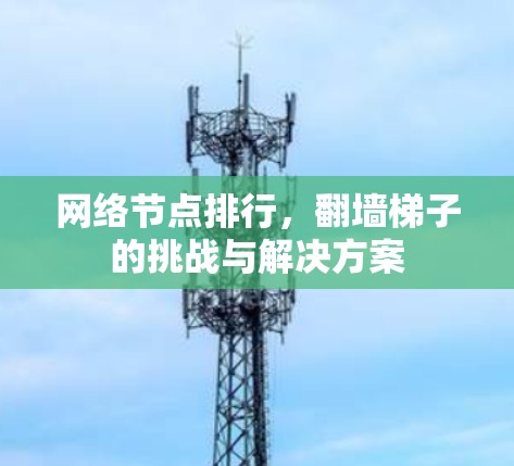 网络节点排行，翻墙梯子的挑战与解决方案