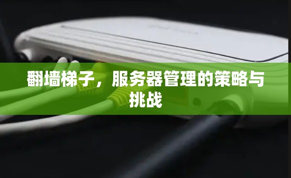 翻墙梯子，服务器管理的策略与挑战