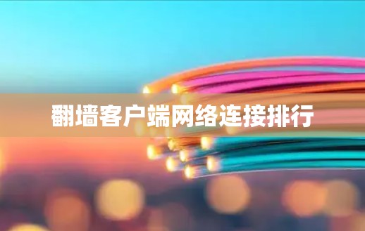 翻墙客户端网络连接排行