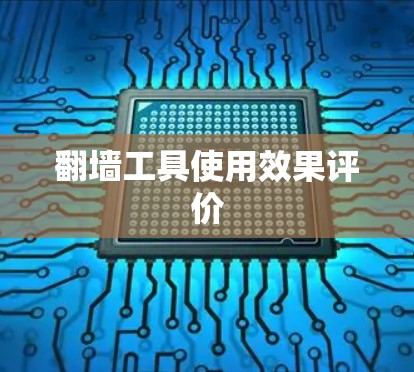 翻墙工具使用效果评价