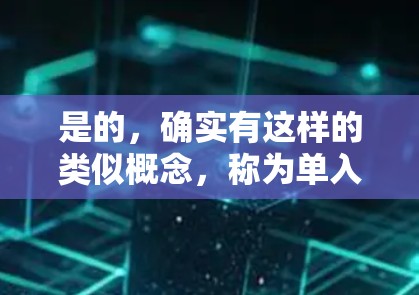 是的，确实有这样的类似概念，称为单入口设计。这种设计通常出现在地铁、火车、公交等交通方式中，旨在提高交通的效率和用户体验。以下是几个常见的例子