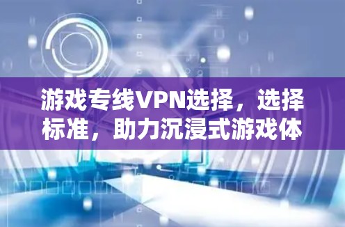 游戏专线VPN选择，选择标准，助力沉浸式游戏体验