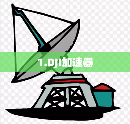 1.DJI加速器
