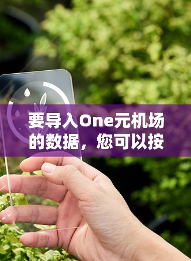 要导入One元机场的数据，您可以按照以下步骤进行操作
