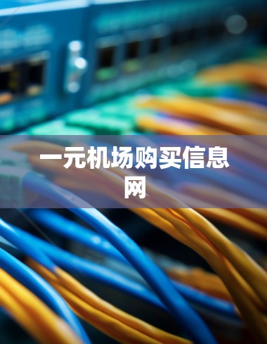 一元机场购买信息网