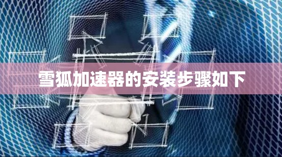 雪狐加速器的安装步骤如下