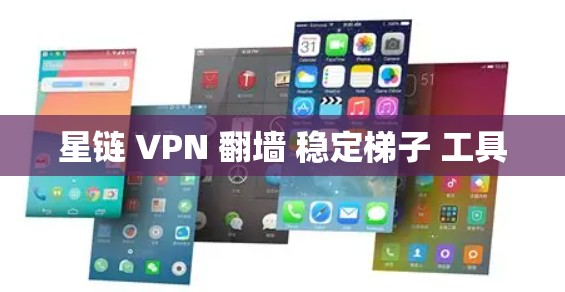 星链 VPN 翻墙 稳定梯子 工具